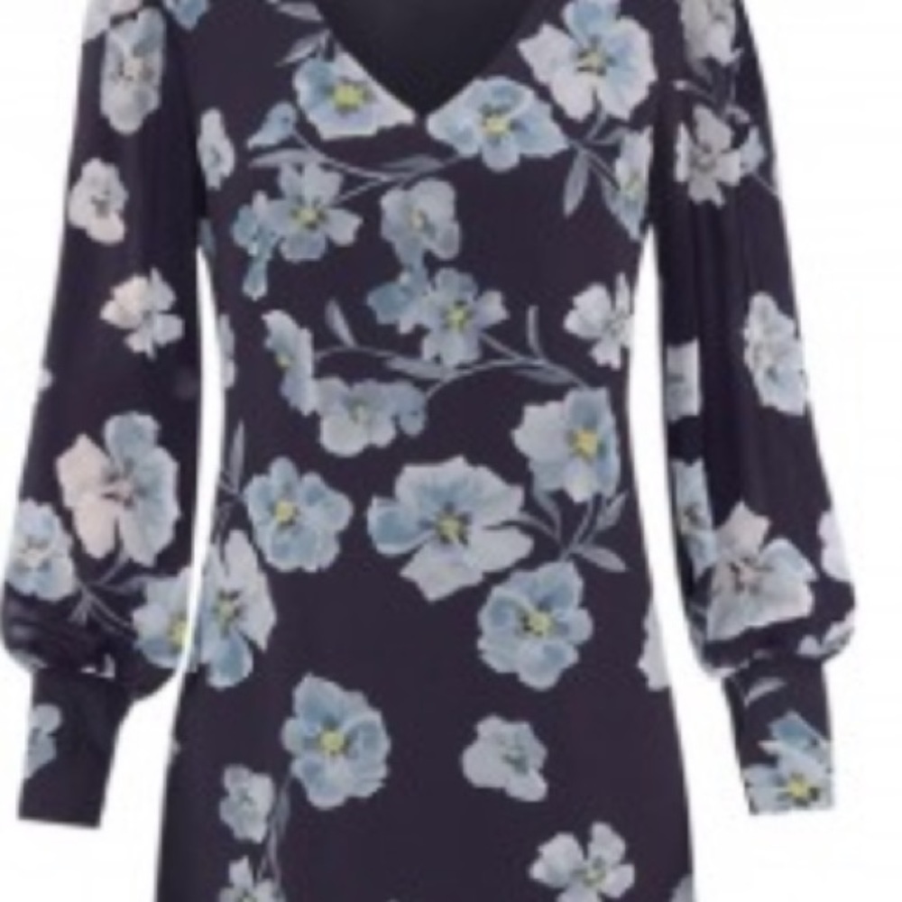 Elkery Dress XXL Fall 2020 CAbi #4018 - Picture 6 of 10